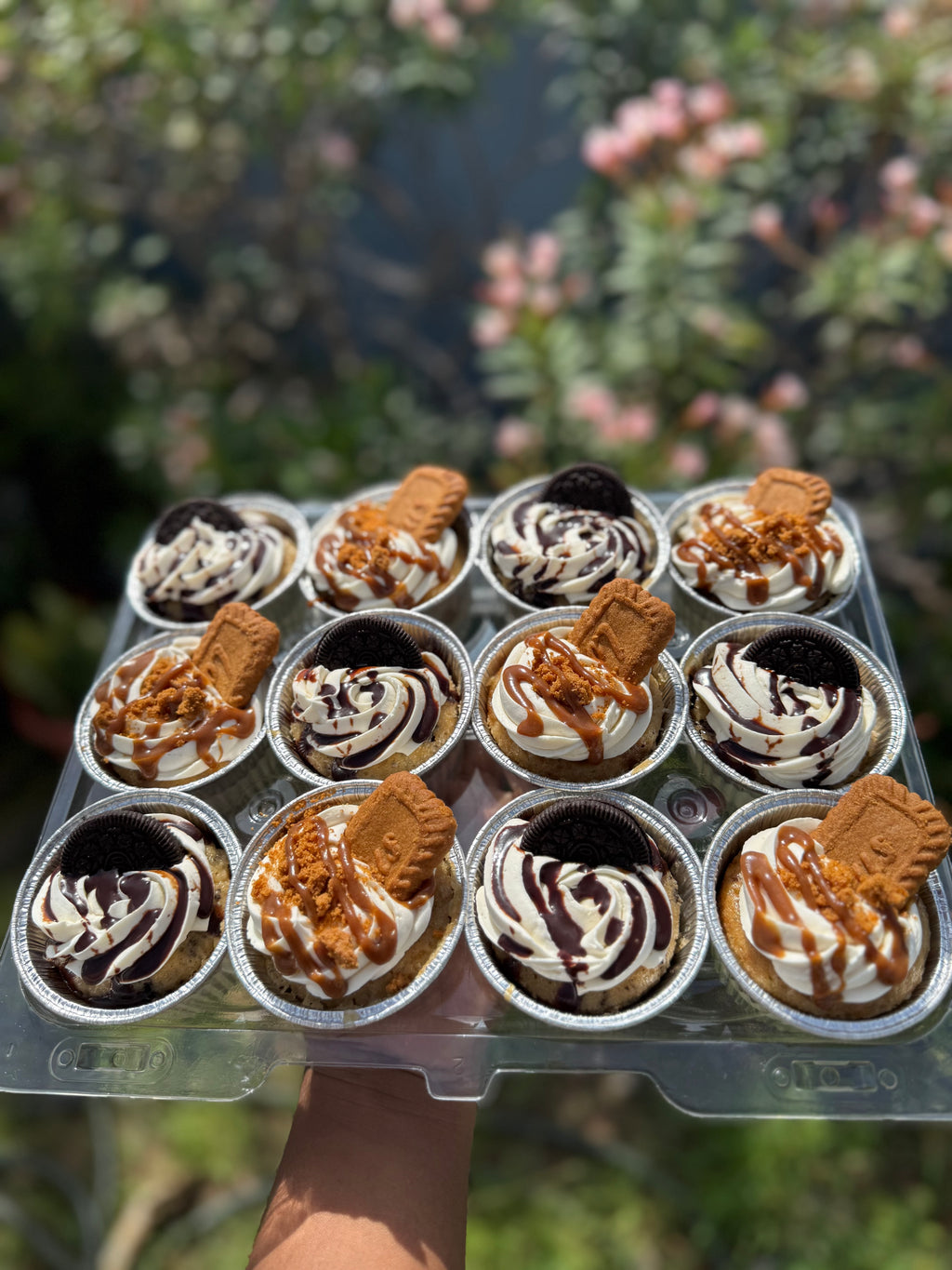 Cupcake Assortment Box