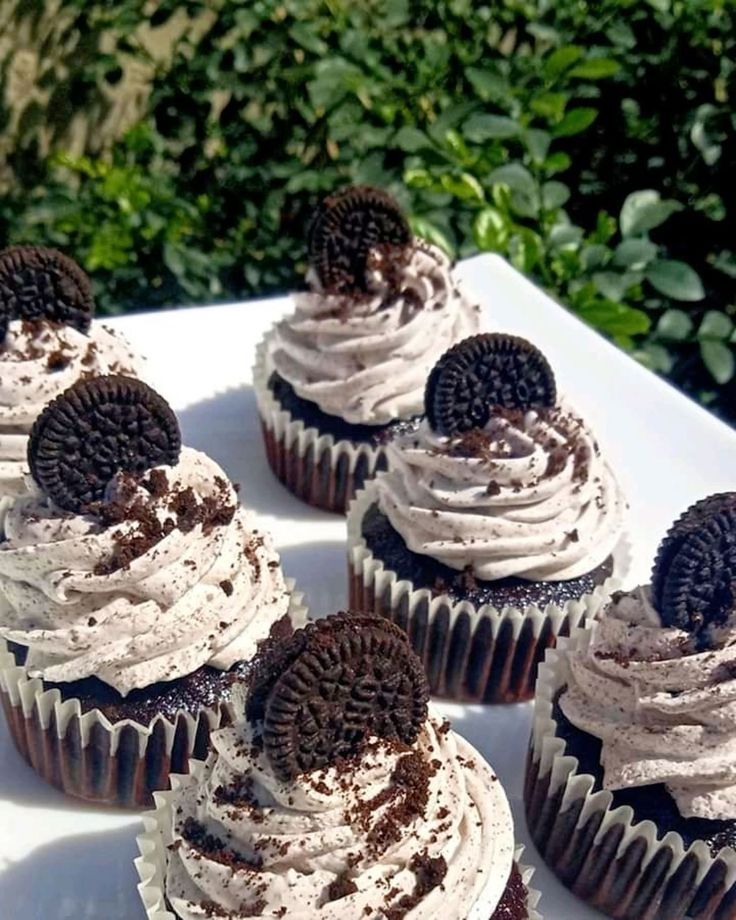 Cupcake Assortment Box